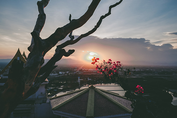 白居易望亭